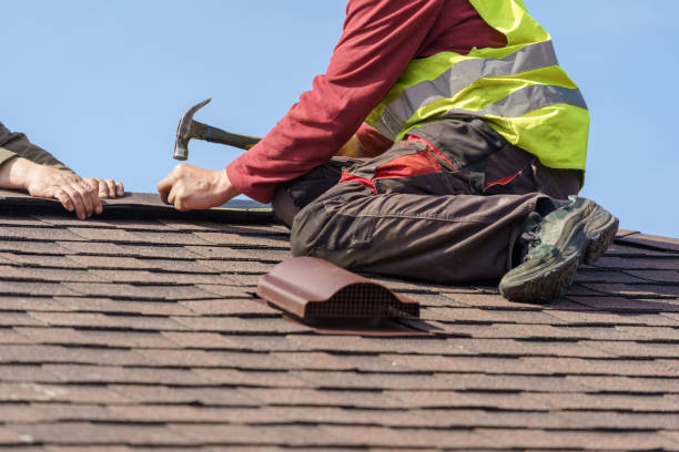 Roof Gutter Cleaning